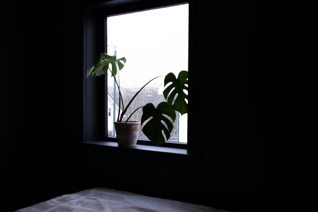 Charming Apartment In Central Stavanger Extérieur photo